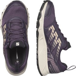 Кросівки Salomon Wander GTX W - фіолетовий