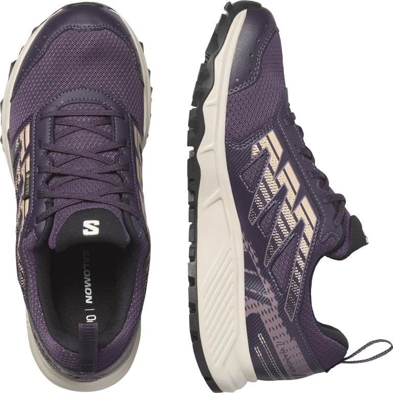 Кросівки Salomon Wander GTX W - фіолетовий
