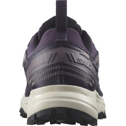 Кросівки Salomon Wander GTX W - фіолетовий