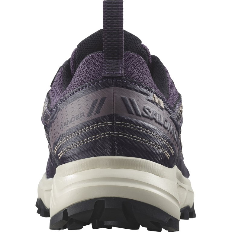 Кросівки Salomon Wander GTX W - фіолетовий