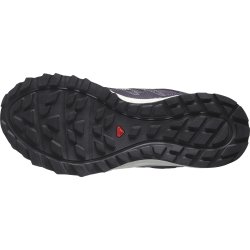 Кросівки Salomon Wander GTX W - фіолетовий