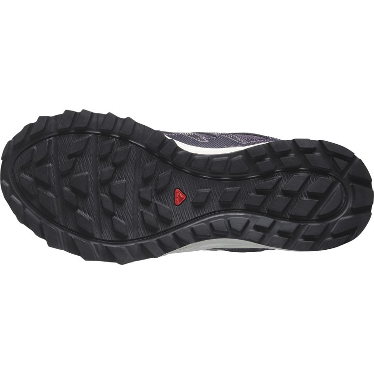 Кросівки Salomon Wander GTX W - фіолетовий