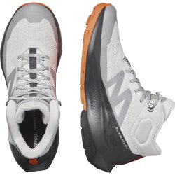 Взуття Salomon Elixir Activ Mid GTX M - сіре