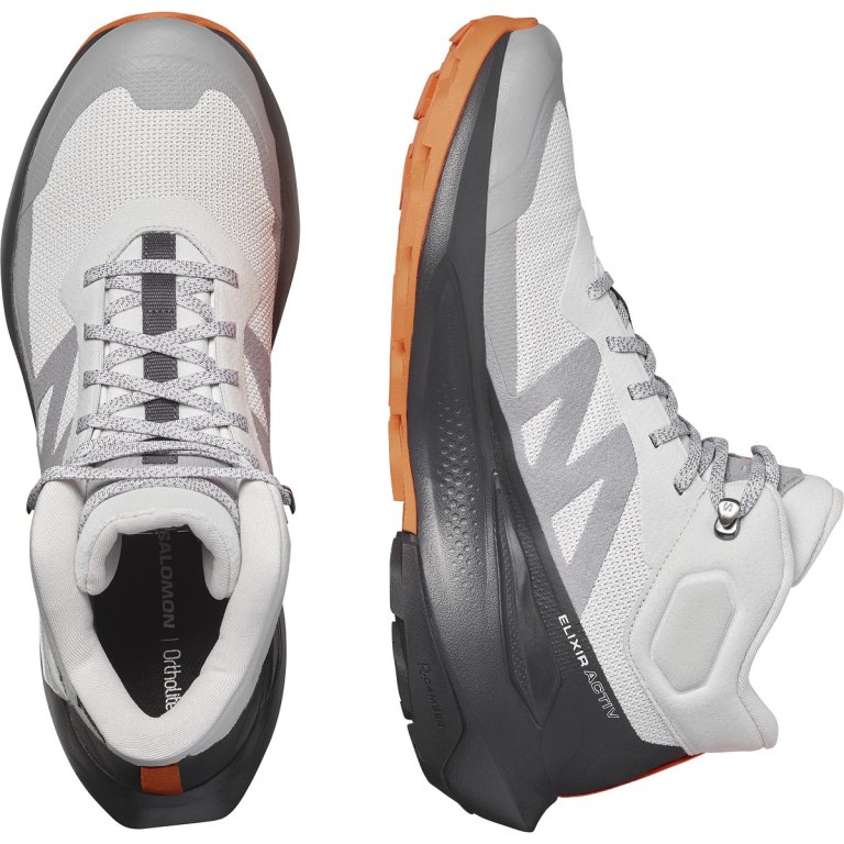 Взуття Salomon Elixir Activ Mid GTX M - сіре
