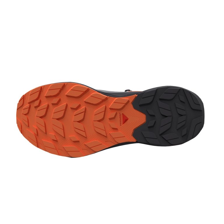 Взуття Salomon Elixir Activ Mid GTX M - сіре