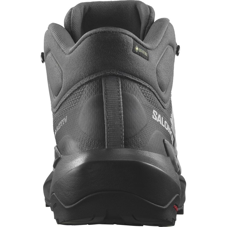 Взуття Salomon Elixir Activ Mid GTX M - сіре