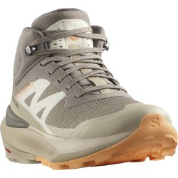 Взуття Salomon Elixir Activ Mid GTX W - коричневе / сіре