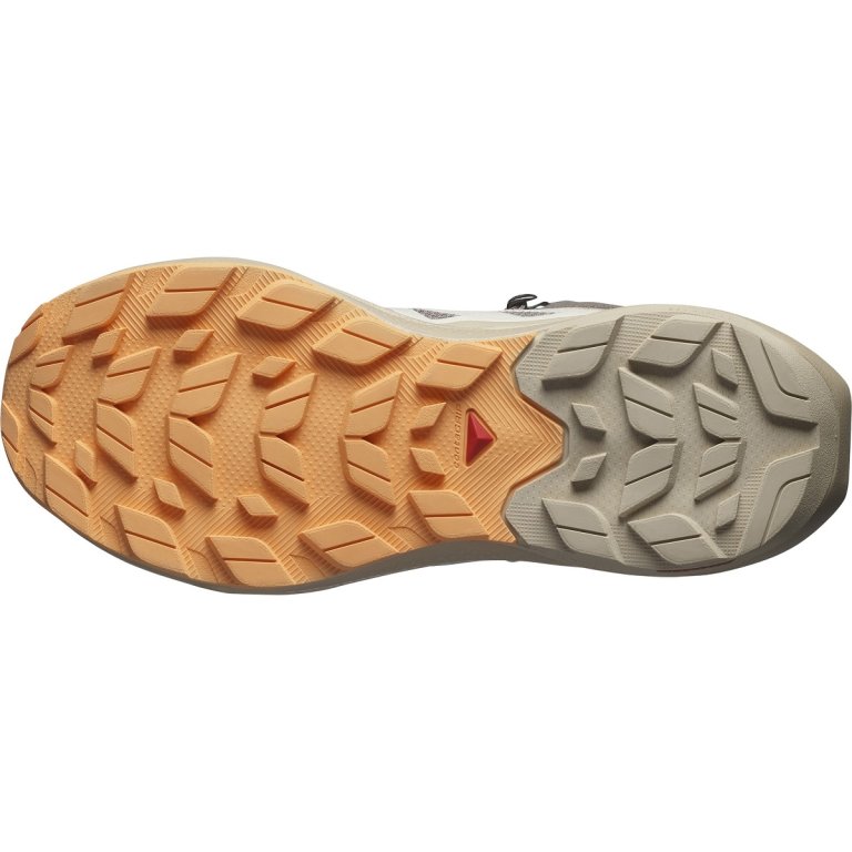 Взуття Salomon Elixir Activ Mid GTX W - коричневе / сіре