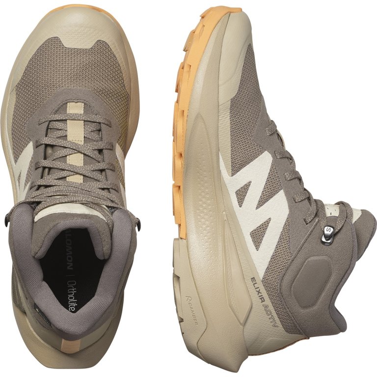 Взуття Salomon Elixir Activ Mid GTX W - коричневе / сіре