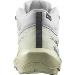 Взуття Salomon Elixir Activ Mid GTX W - сіре