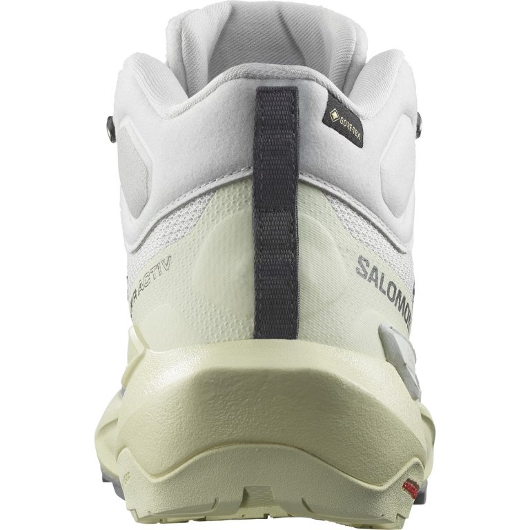 Взуття Salomon Elixir Activ Mid GTX W - сіре