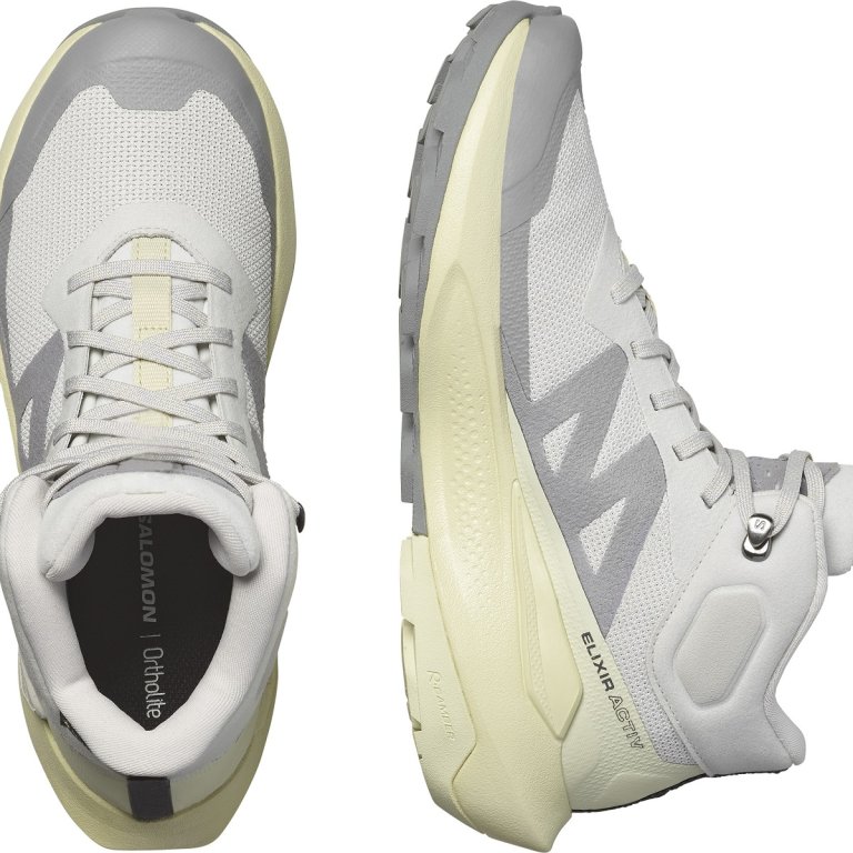 Взуття Salomon Elixir Activ Mid GTX W - сіре