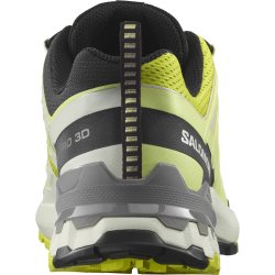 Кросівки Salomon Xa Pro 3D V9 M - жовті / чорні