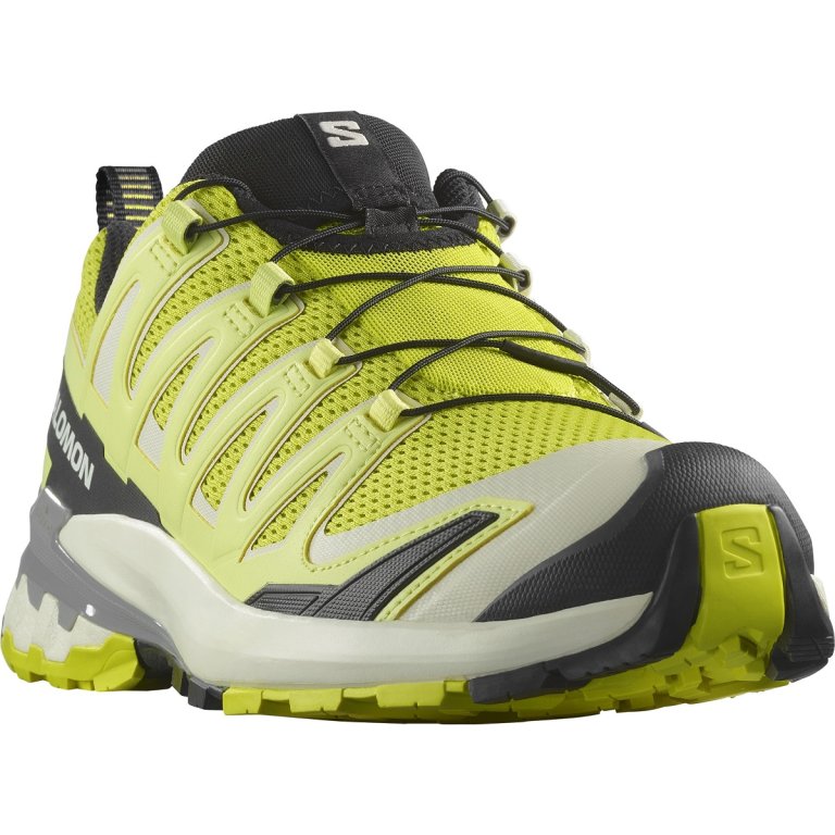 Кросівки Salomon Xa Pro 3D V9 M - жовті / чорні