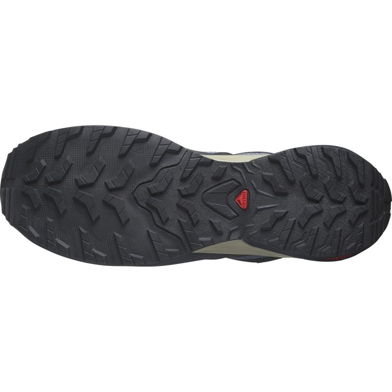 Кросівки Salomon X-Adventure GTX M - синій / чорний