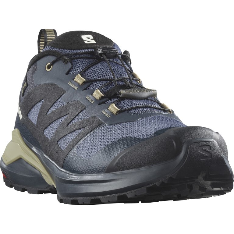 Кросівки Salomon X-Adventure GTX M - синій / чорний