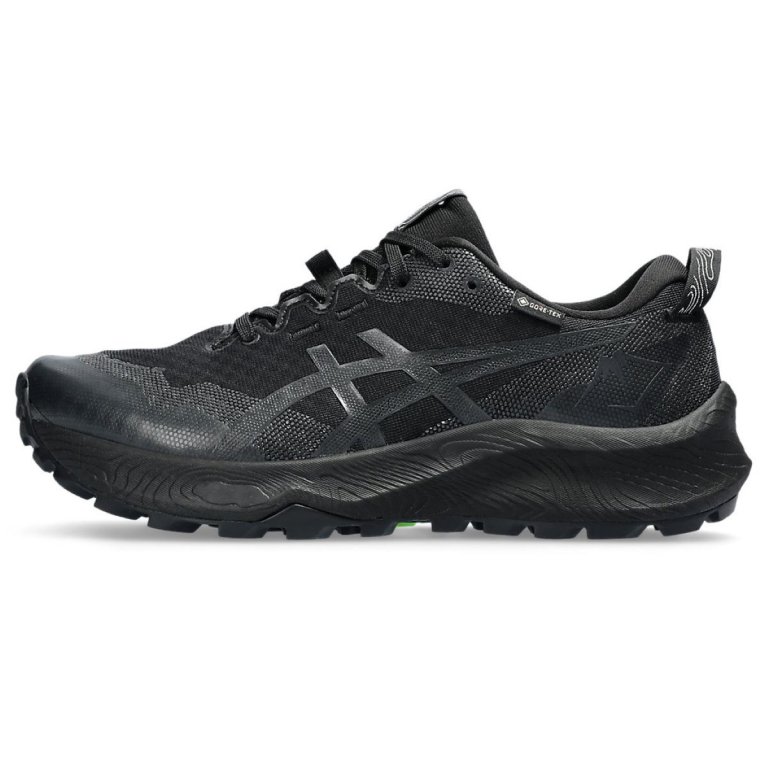 Кросівки Asics Gel-Trabuco 12 GTX W - чорний / сірий