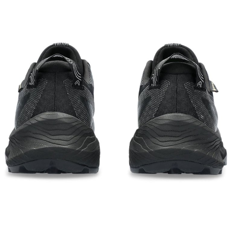 Кросівки Asics Gel-Trabuco 12 GTX W - чорний / сірий