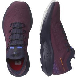 Взуття Salomon PULSAR TRAIL PRO W - бордовий/чорний