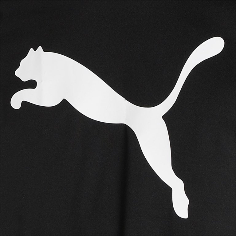 Футболка Puma Active Big Logo Tee M - чорний
