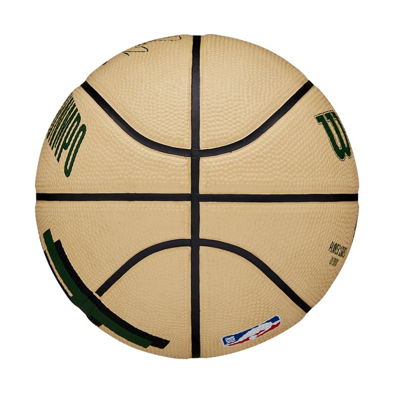 М'яч Wilson NBA Player Icon Mini Bskt Giannis - бежевий/зелений
