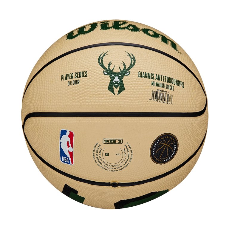 М'яч Wilson NBA Player Icon Mini Bskt Giannis - бежевий/зелений