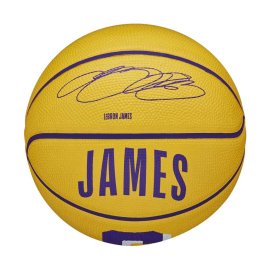 wilson-nba-player-icon-mini-bskt-lebron-3_1