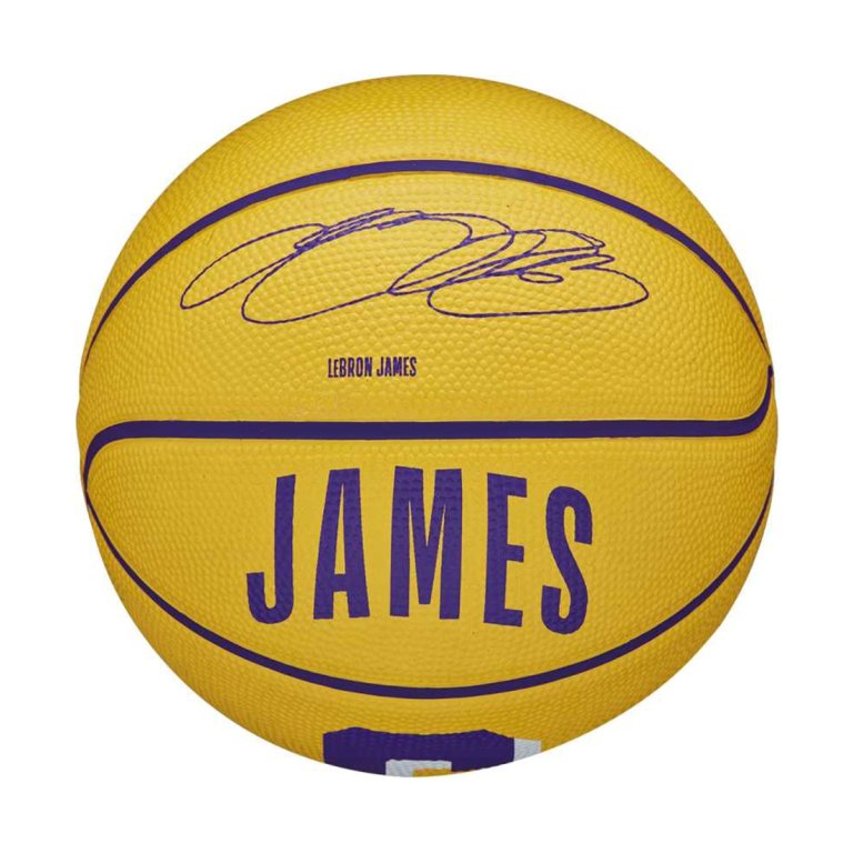 М'яч Wilson NBA Player Icon Mini Bskt Lebron 3 - жовтий/фіолетовий