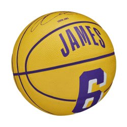 М'яч Wilson NBA Player Icon Mini Bskt Lebron 3 - жовтий/фіолетовий