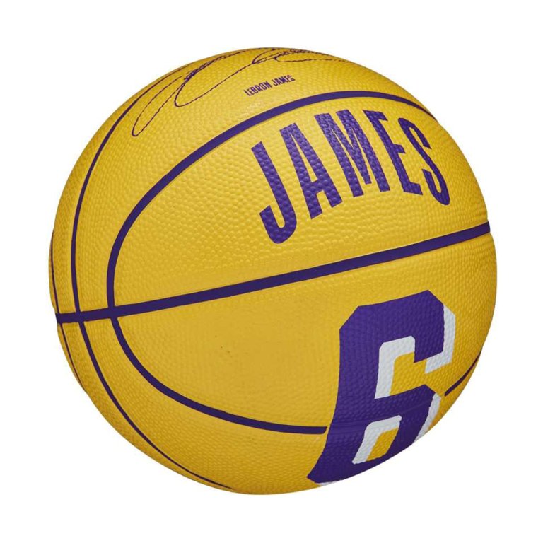 М'яч Wilson NBA Player Icon Mini Bskt Lebron 3 - жовтий/фіолетовий