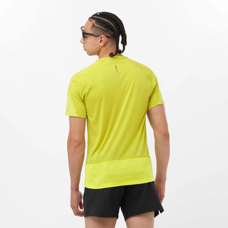 Футболка Salomon Cross Run SS Tee M - жовтий