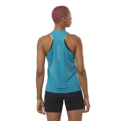 Футботка Salomon Sense Aero Singlet GFX W - синій