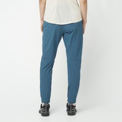 Штани Salomon Wayfarer Ease Pants W - сині