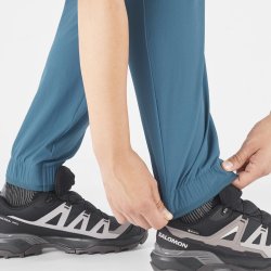Штани Salomon Wayfarer Ease Pants W - сині