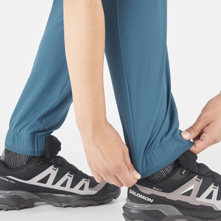 Штани Salomon Wayfarer Ease Pants W - сині
