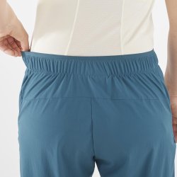 Штани Salomon Wayfarer Ease Pants W - сині