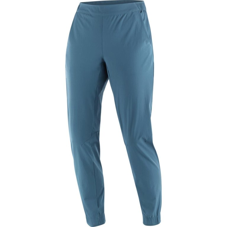 Штани Salomon Wayfarer Ease Pants W - сині