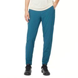 Штани Salomon Wayfarer Ease Pants W - сині