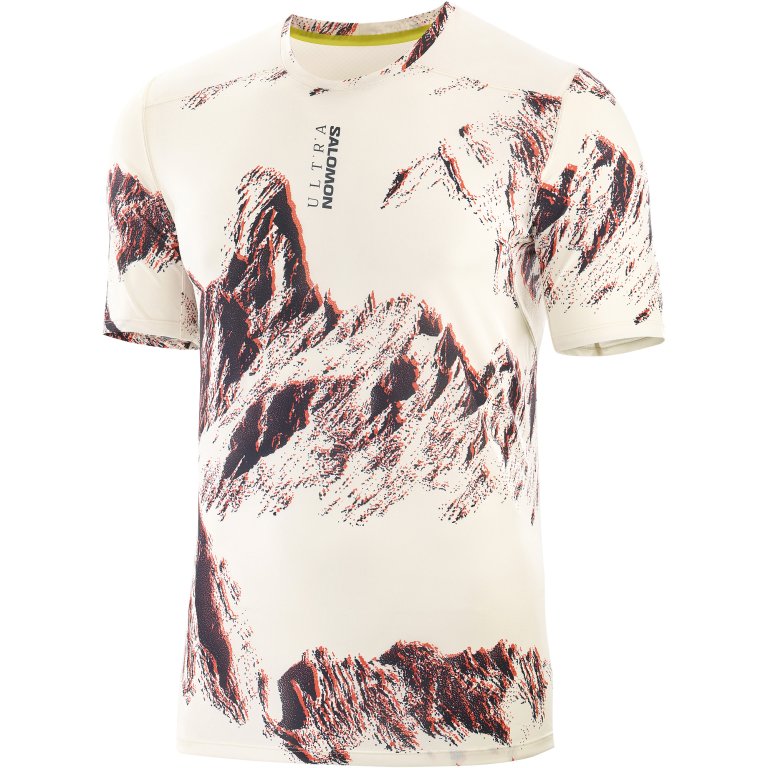 Футболка Salomon S/LAB Ultra Tee W - бежевий/червоний