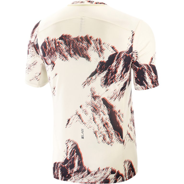 Футболка Salomon S/LAB Ultra Tee W - бежевий/червоний