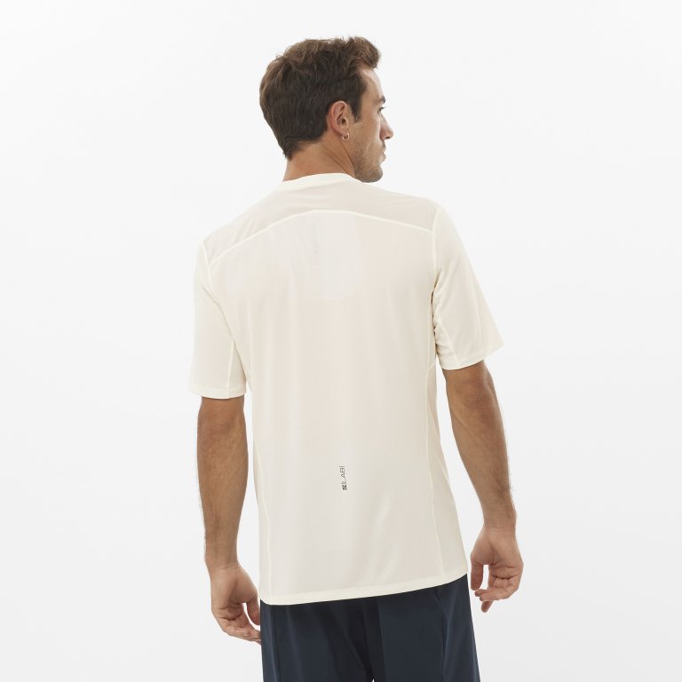 Футболка Salomon S/LAB Ultra Tee M - бежевий