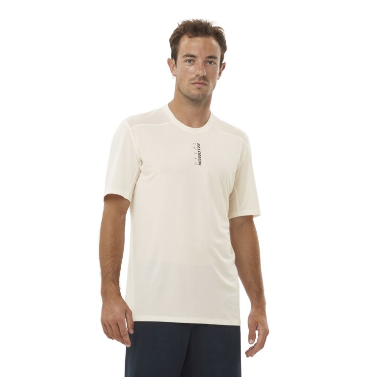 Футболка Salomon S/LAB Ultra Tee M - бежевий