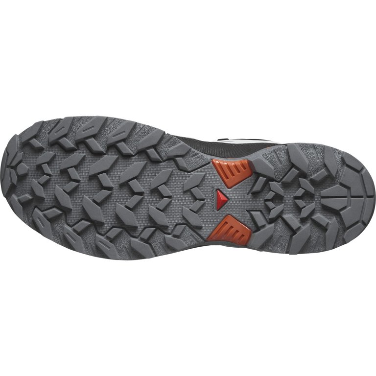 Взуття Salomon X Ultra 360 GTX M - сіре / сорне / помаранчеве