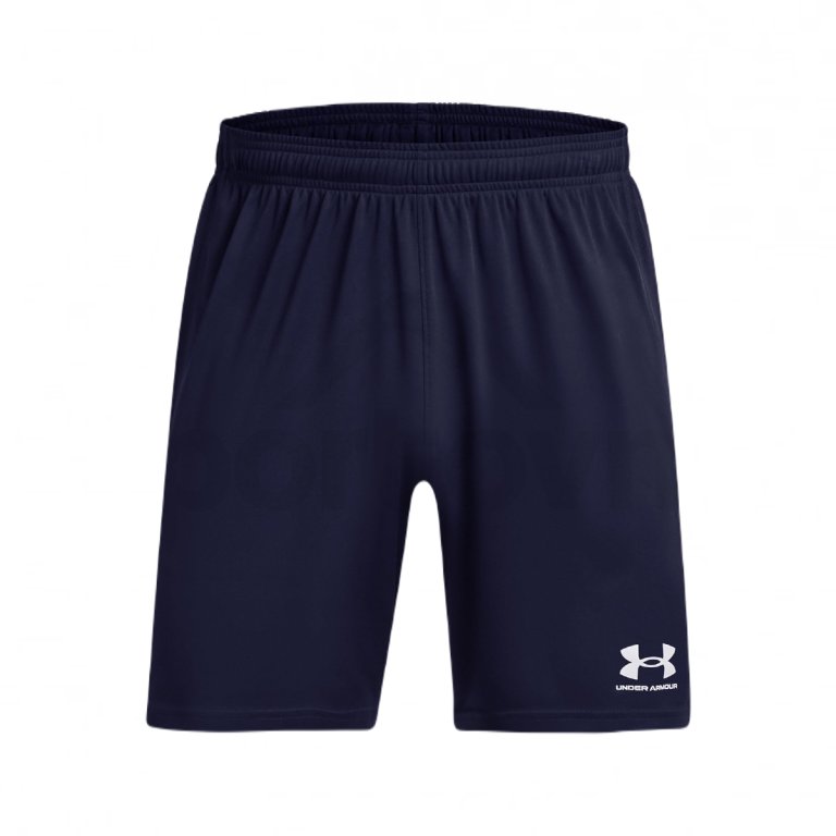 Шорти Under Armour UA M's Ch. Трикотажні шорти M - сині
