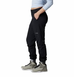 Штани Columbia Back Beauty™ 2.0 Softshell Pant W - чорний