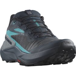 Кросівки Salomon Genesis M - чорний/синій