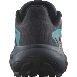 Кросівки Salomon Genesis M - чорний/синій