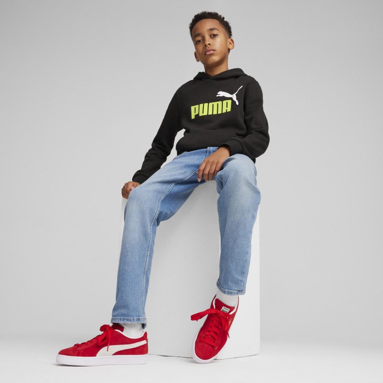 Кофта Puma ESS+ 2 Col Big Logo Hoodie FL J - чорний