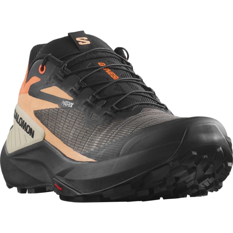 Кросівки Salomon Genesis M - чорний/помаранчевий