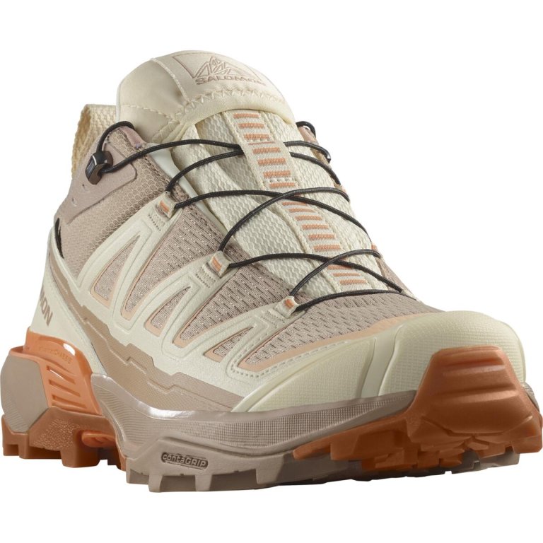 Взуття Salomon X Ultra 360 Edge GTX W - коричневе / бежеве
